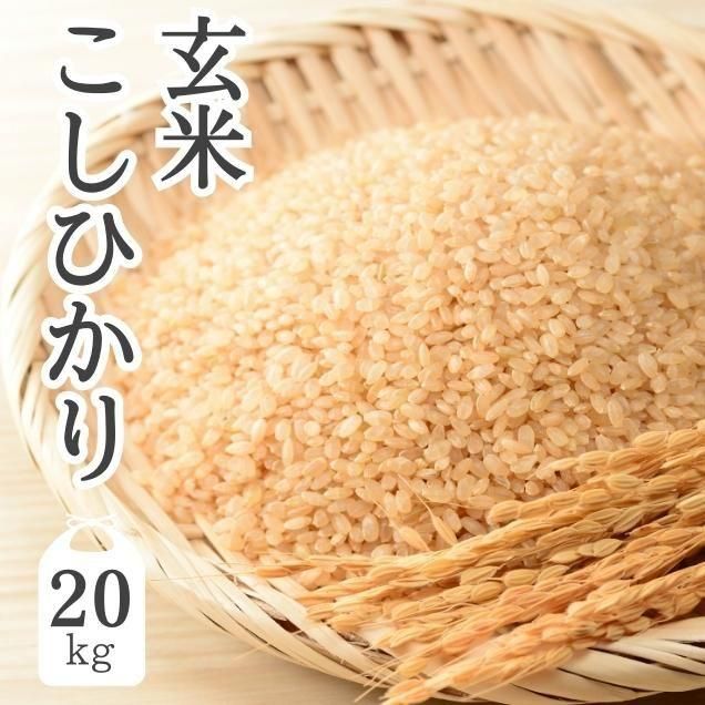 広島県産 こしひかり 20kg　古米　玄米 コシヒカリ - よこじふぁーむ