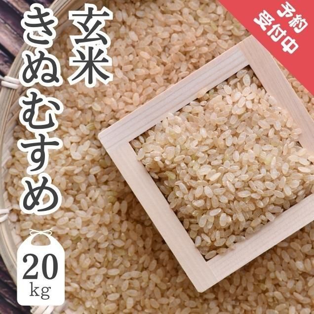 7ǯ۸ ̤ह 20kg