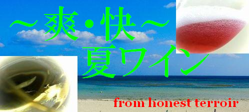 ¡ÁÁÖ¡¦²÷¡Á²Æ¥ï¥¤¥ó¡ª