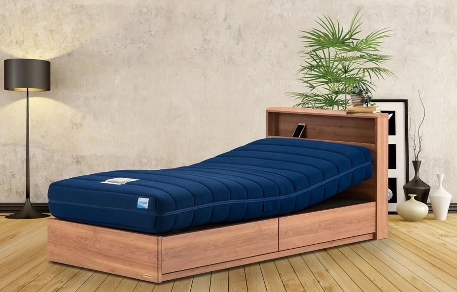 France Bed リクライニングマットレス RP-2000BAE S 電動リクライニングマットレス ルーパームーブRP-2000BAE セミダブル