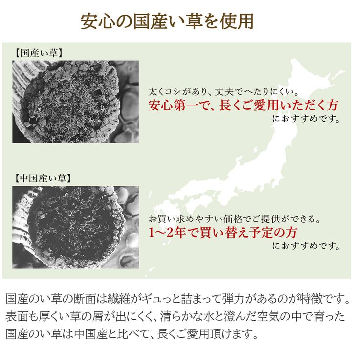 DXヴィオラ 国産い草 ラグ カーペット（2サイズ ）