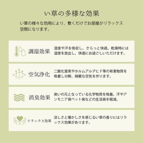 日本製 い草 ござ 上敷き 西条(江戸間1-8畳) 日本製 い草 ござ 上敷き 西条(江戸間1-8畳)