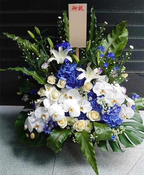 お祝い花 胡蝶蘭とデルフィニウムの特大アレンジメント花ギフト 4l お祝い花 胡蝶蘭とデルフィニウムの特大アレンジメント花ギフト 4l