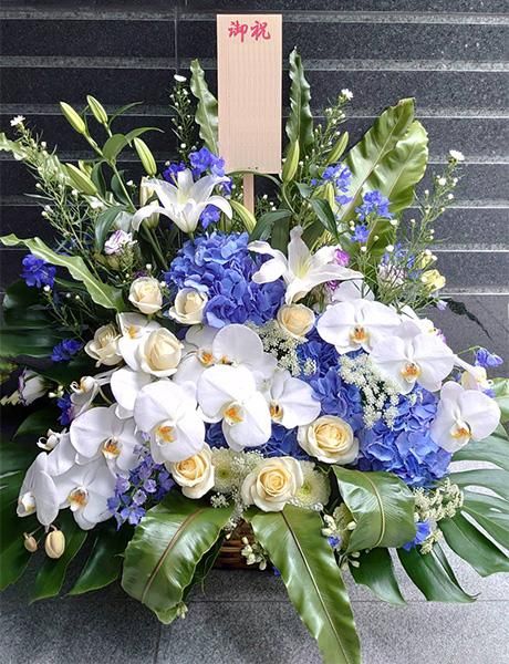 お祝い花 胡蝶蘭とデルフィニウムの特大アレンジメント花ギフト 4l お祝い花 胡蝶蘭とデルフィニウムの特大アレンジメント花ギフト 4l