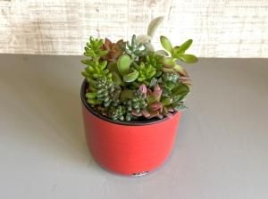 花ギフト