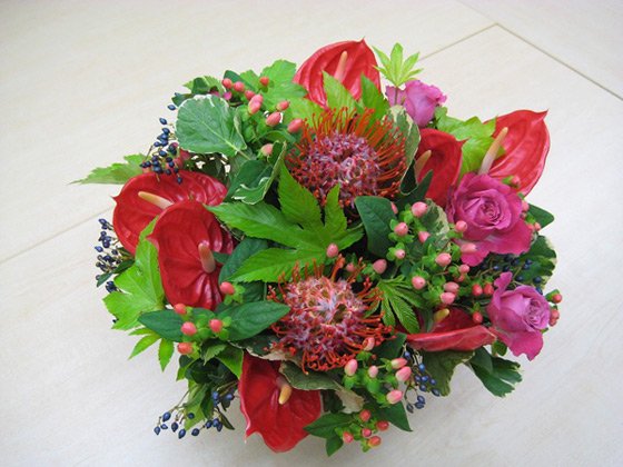 お祝い花宅配 開店祝いや記念日にピンクッションとアンスリウムの赤い花ギフト 陶器鉢