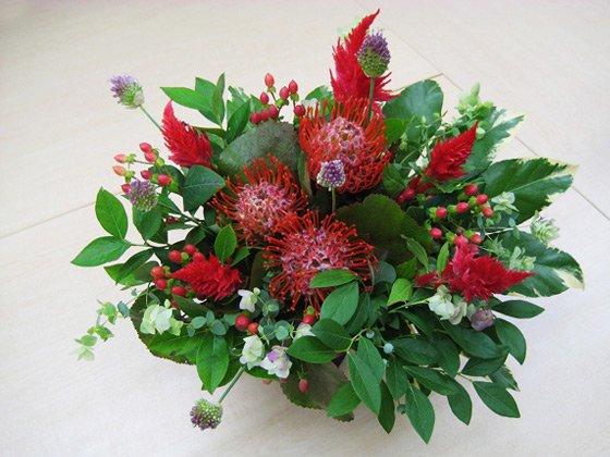 お祝い花宅配 開店祝いや記念日にピンクッションとケイトウの赤い花ギフト 陶器鉢