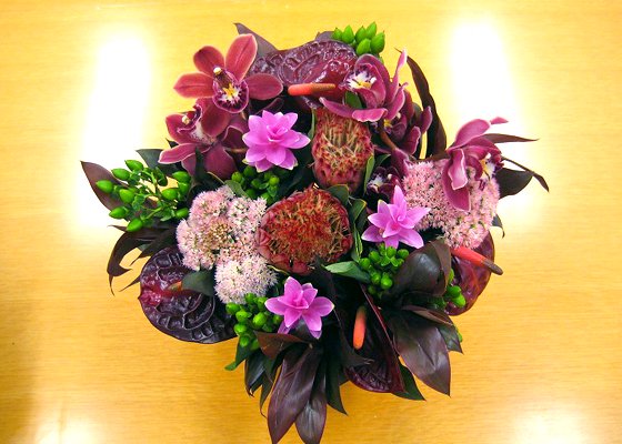 お祝い花宅配 プロテアとセダムの大人シックな花ギフト 陶器鉢 開店祝い 個展 誕生日