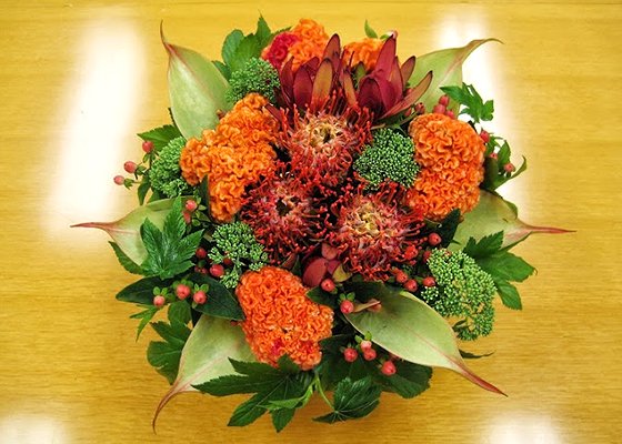 お祝い花宅配 ピンクッションとケイトウのオレンジ花ギフト M 陶器鉢