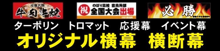 ¥Ç¡¼¥¿Æþ¹Æ¥ª¥ê¥¸¥Ê¥ë²£ÃÇËë