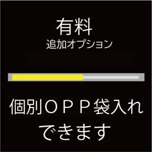 ǡƥꥸʥ롡֤鲼եåʴˡ20ܡ29