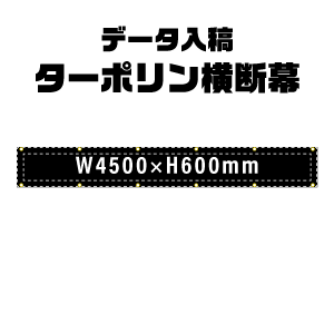 ǡơꥸʥ롡ݥ롡W4500xH600