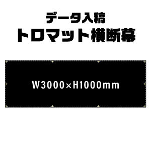ǡơꥸʥ롡ȥޥåȲ롡W3000xH1000