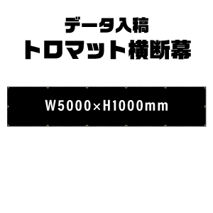ǡơꥸʥ롡ȥޥåȲ롡W5000xH1000
