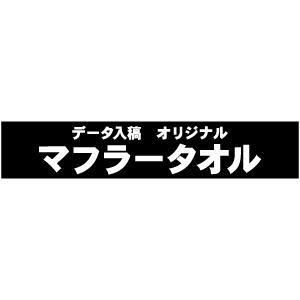 ꥸʥ ޥե顼롡1100210Τ