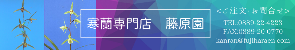 ��������Ź��ƣ����