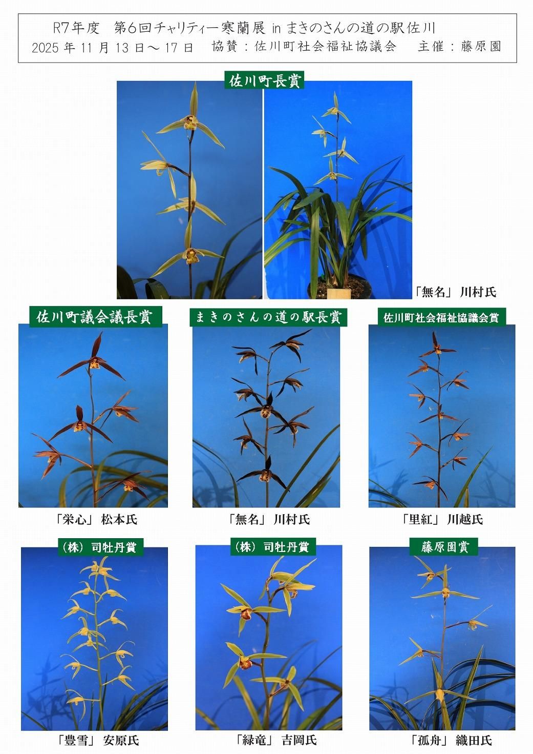 対馬寒蘭 寒蘭専門店 藤原園