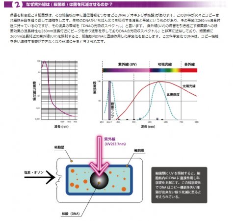 日鈑製！NB-3　卓上型 紫外線殺菌消毒保管庫 殺菌灯　2灯式（国内生産）