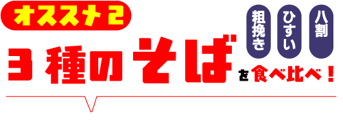 ٤ǣʸ