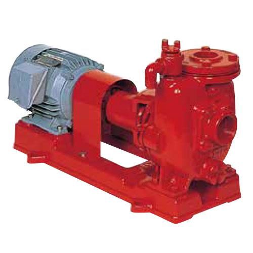 水槽 555 60センチ水槽のメンテナンス - 金欠パパの四畳半アクアリウム