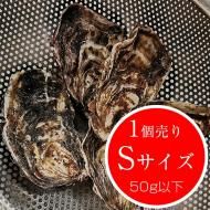 釣り餌:活ムラサキイ貝・牡蠣 - 広島牡蠣の濱本水産 釣り餌:活ムラサキイ貝・牡蠣 - 広島牡蠣の濱本水産