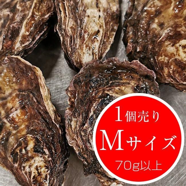 釣り餌用牡蠣Mサイズ1個70g以上（1個売り） - 広島牡蠣の濱本