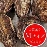 釣り餌:活ムラサキイ貝・牡蠣 - 広島牡蠣の濱本水産 釣り餌:活ムラサキイ貝・牡蠣 - 広島牡蠣の濱本水産