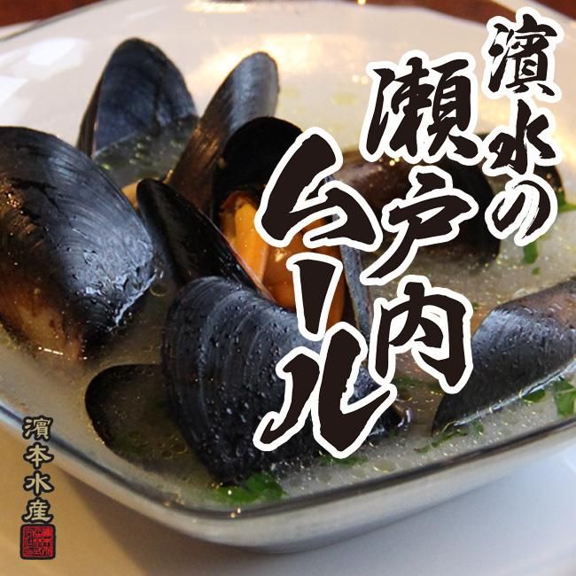 濱水の宮島ムール 活ムール貝 Mサイズ 1kg 広島牡蠣の濱本水産ホームページ 広島牡蠣 あさり なまこ ムール貝 通販 濱水の宮島ムール 活ムール貝 Mサイズ 1kg 広島牡蠣の濱本水産ホームページ 広島牡蠣 あさり なまこ ムール貝 通販