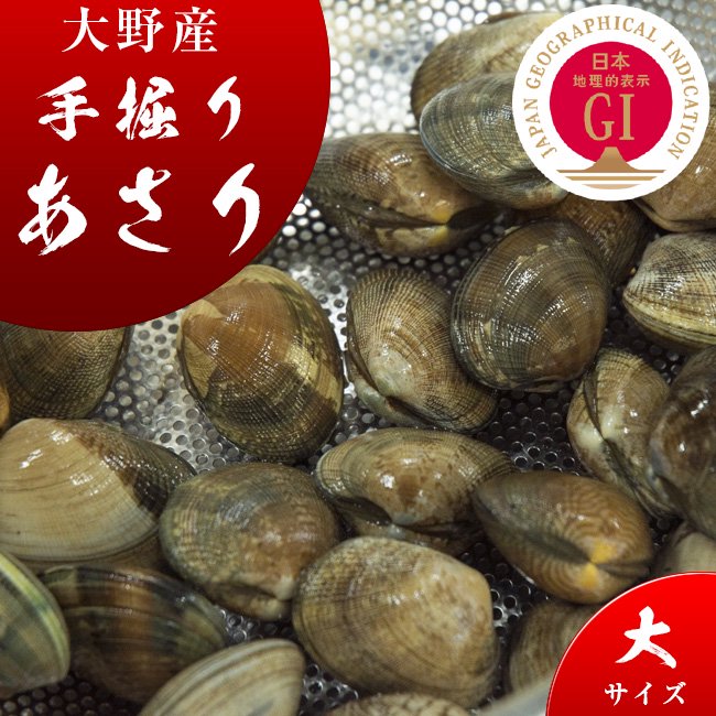 （1kg）　大サイズ　大野あさり　広島牡蠣の濱本水産ホームページ・広島牡蠣・あさり・なまこ・ムール貝・通販