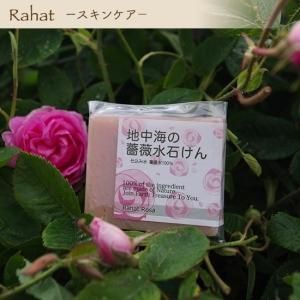 泤<br>鯿Ф(100g)