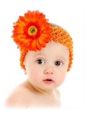オレンジガーベラデイジーヘアバンド おむつケーキご出産祝いや海外輸入ベビー服 子供服 ジンボリー ポロラルフローレン マッドパイ リボンバッグセール通販店のシュクルブラン オレンジガーベラデイジーヘアバンド おむつケーキご出産祝いや海外輸入ベビー服 子供服 ジンボリー ポロラルフローレン マッドパイ リボンバッグセール通販店のシュクルブラン