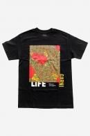 <img class='new_mark_img1' src='https://img.shop-pro.jp/img/new/icons1.gif' style='border:none;display:inline;margin:0px;padding:0px;width:auto;' />GARNI/ガルニ/ ROSEMAZE Tee