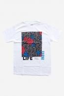 <img class='new_mark_img1' src='https://img.shop-pro.jp/img/new/icons1.gif' style='border:none;display:inline;margin:0px;padding:0px;width:auto;' />GARNI/ガルニ/ ROSEMAZE Tee